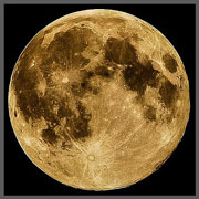 Full Moon Photo